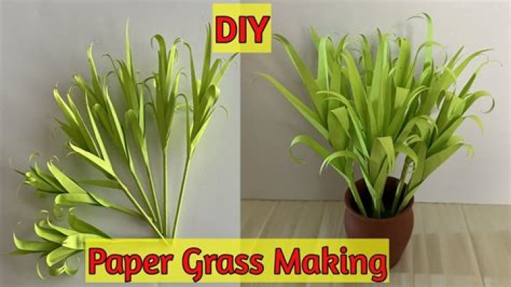 How do you make paper Cogon grass?