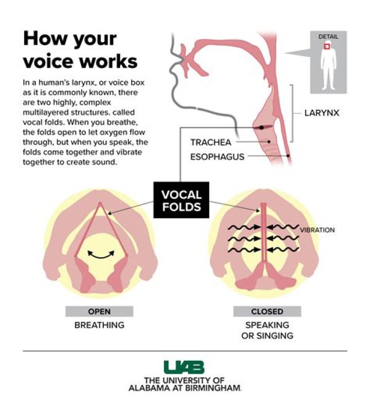 How do you make your voice go away fast?