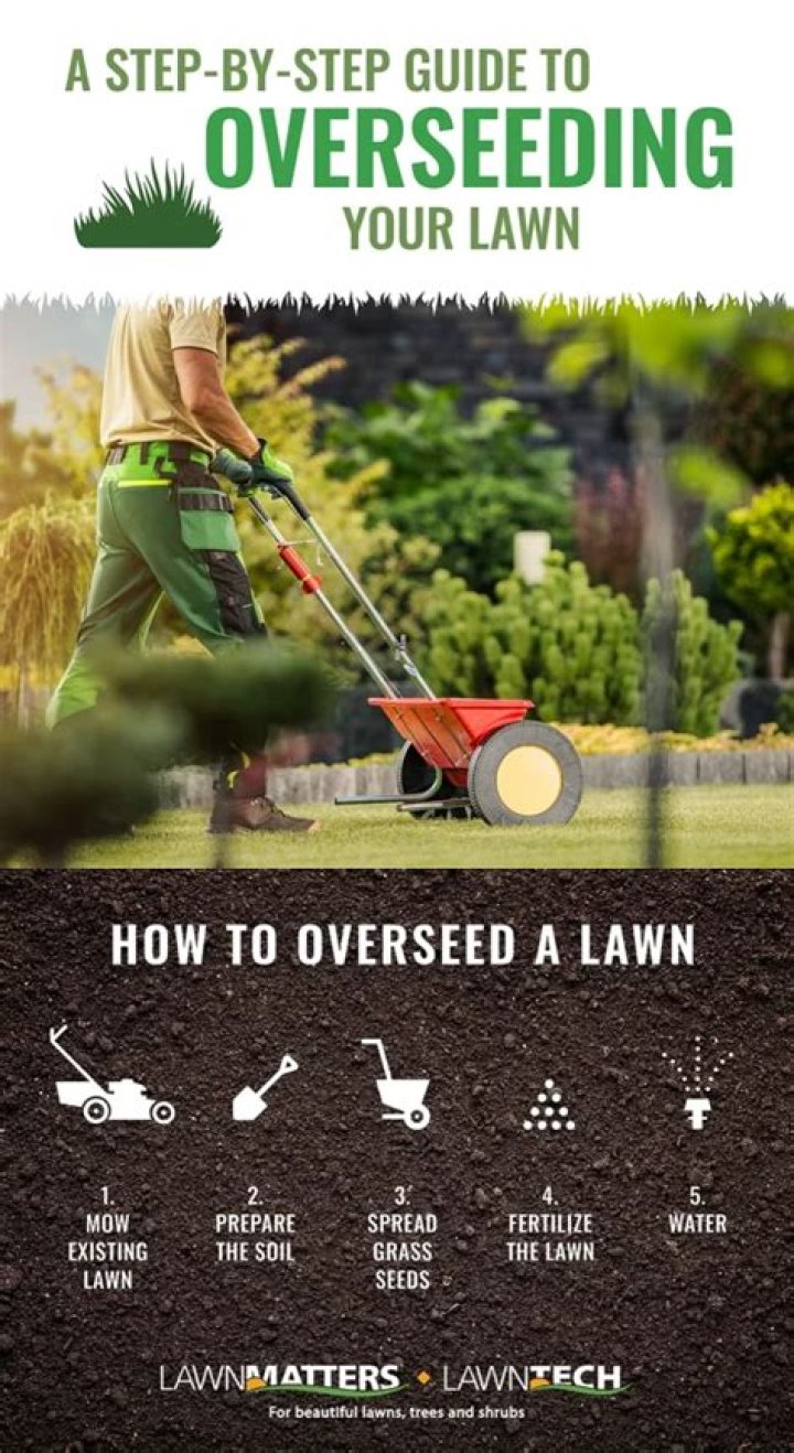 How do you overseed an existing lawn?