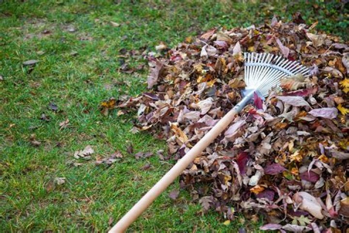 How do you pick up leaves without a rake?