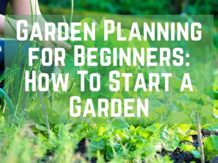 How do you plan a garden step by step?