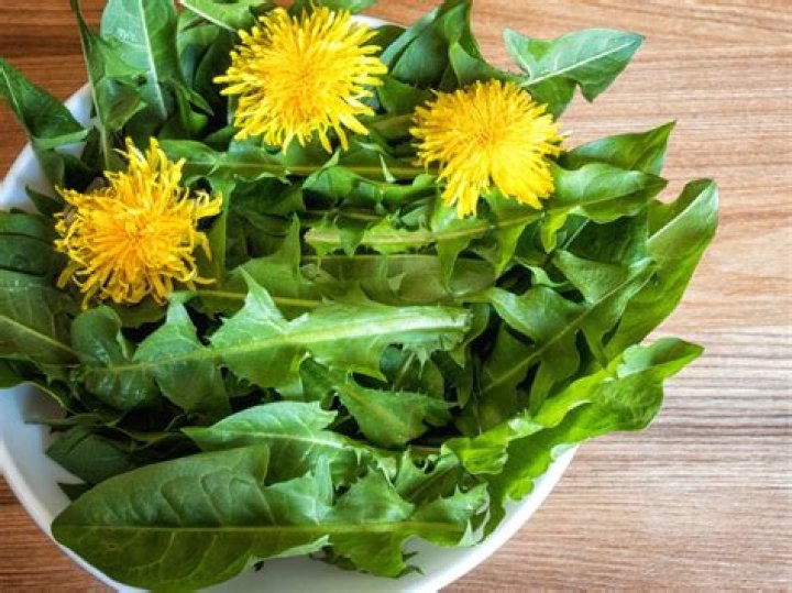 How do you prepare dandelion greens to eat?