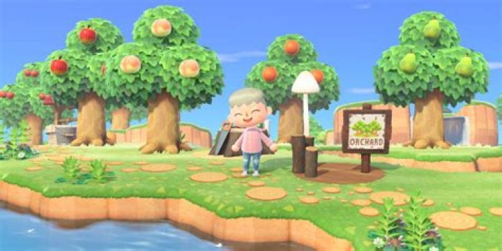 How do you sell fruit in Animal Crossing New Horizons?