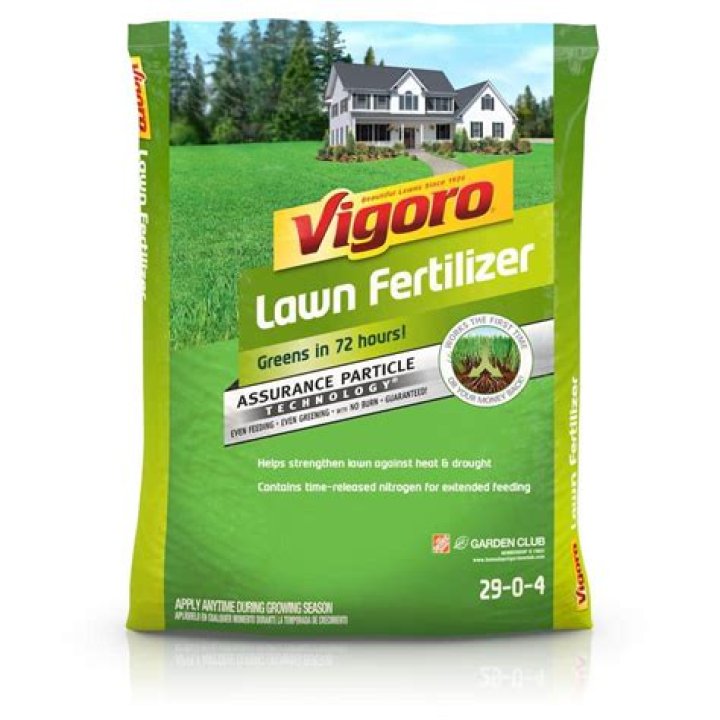 How do you spread Vigoro fertilizer?
