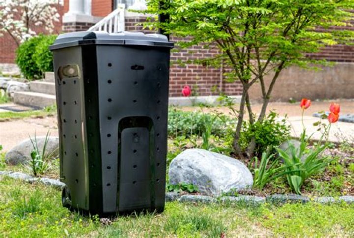 How do you start a composting area in your backyard?