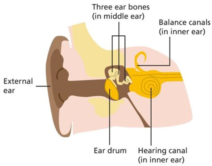 How do you tell if you blew your speakers out?