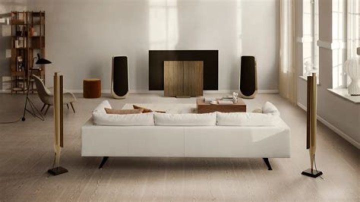How do you use a Bang and Olufsen speaker?