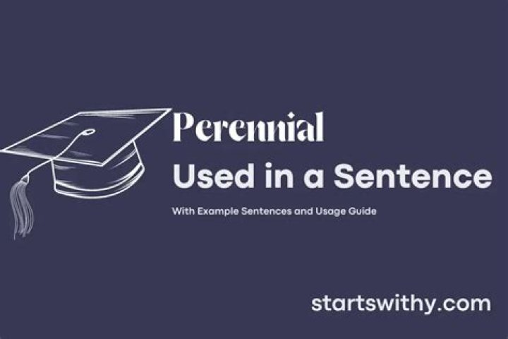 How do you use perennial in a sentence?