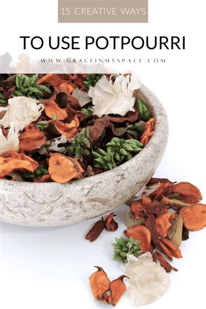 How do you use potpourri in a sentence?