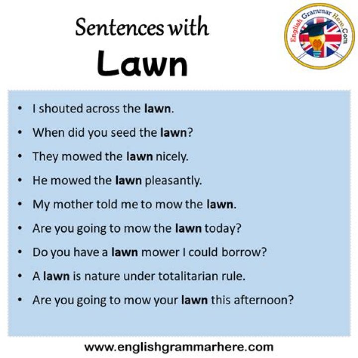 How do you use the word lawn in a sentence?