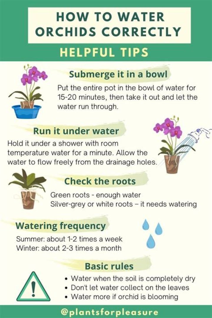 How do you water a small patch of grass?