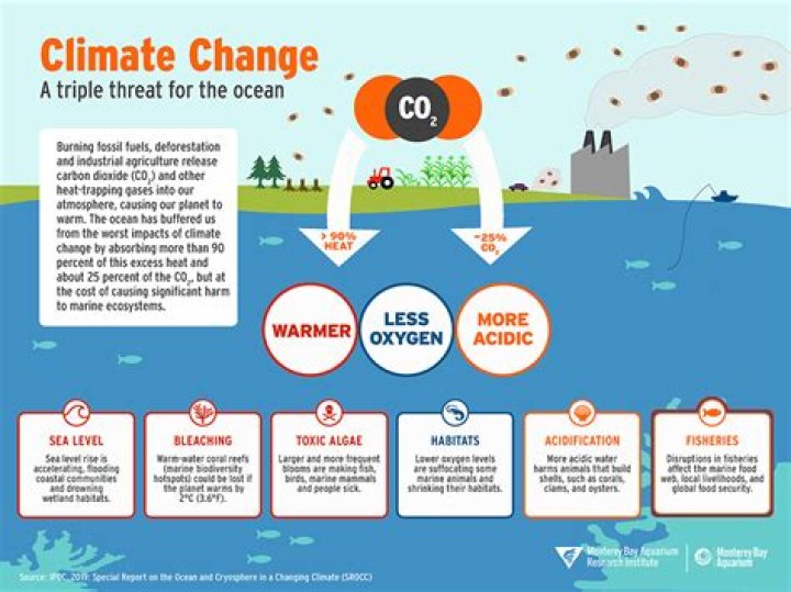 How does the ocean affect the climate of the world?