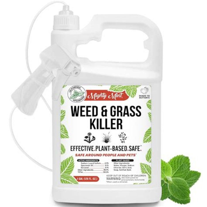How does weed killer not kill plants?