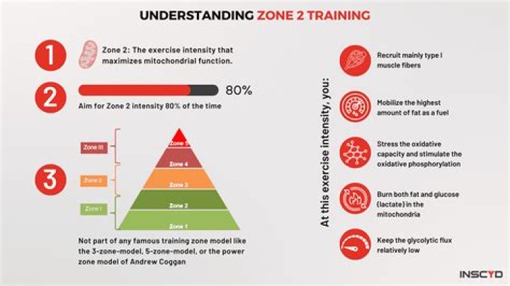 How does Zone 2 work?