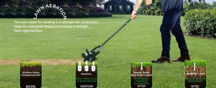 How late can you aerate a lawn?