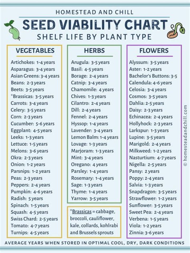How late can you plant sod in Illinois?