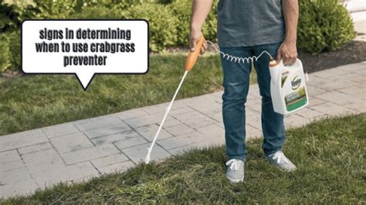 How long after seeding can I use crabgrass preventer?