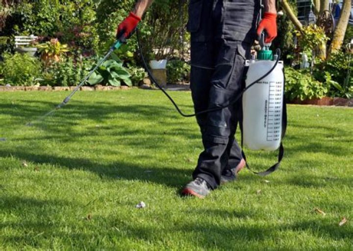 How long after spraying grass is it safe?