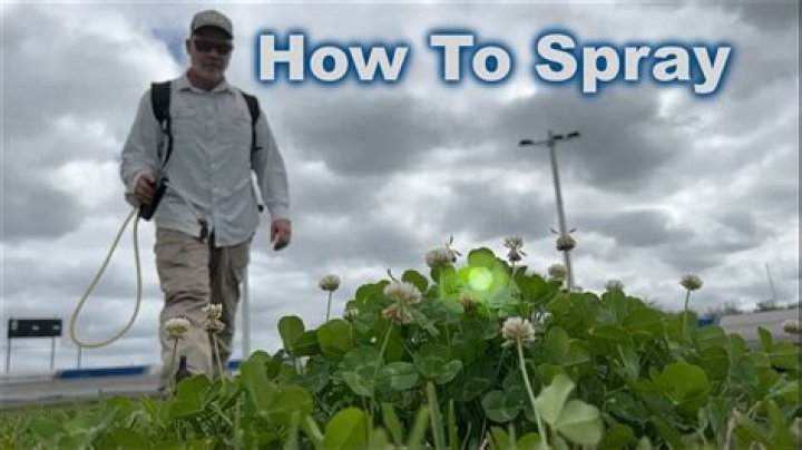 How long after spraying weed killer can I lay sod?