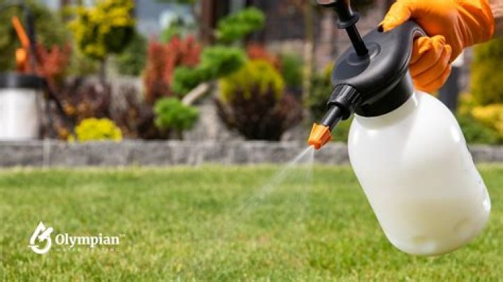 How long does atrazine need to be sprayed before rain?