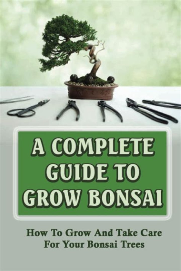 How long does it take for a bonsai tree to fully grow?