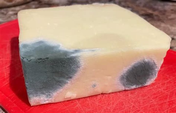 How long does it take for cheese to mold in fridge?