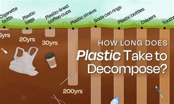 How long does it take for compost to activate?