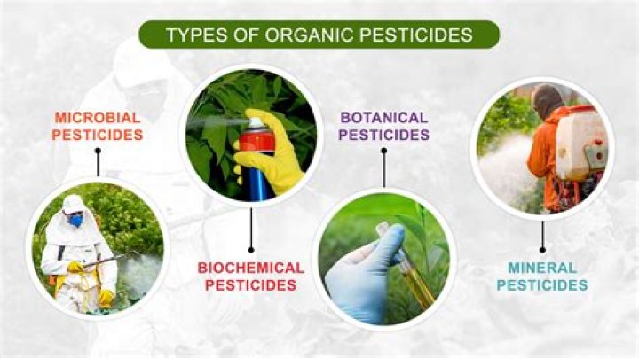 How long does it take for pesticides to affect you?