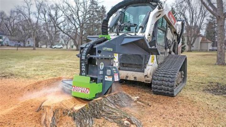 How long does it take for stump removal to work?