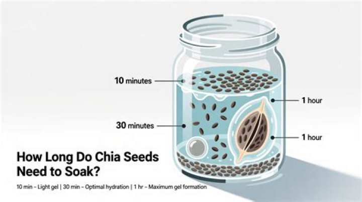 How long does it take for water to soak into grass?