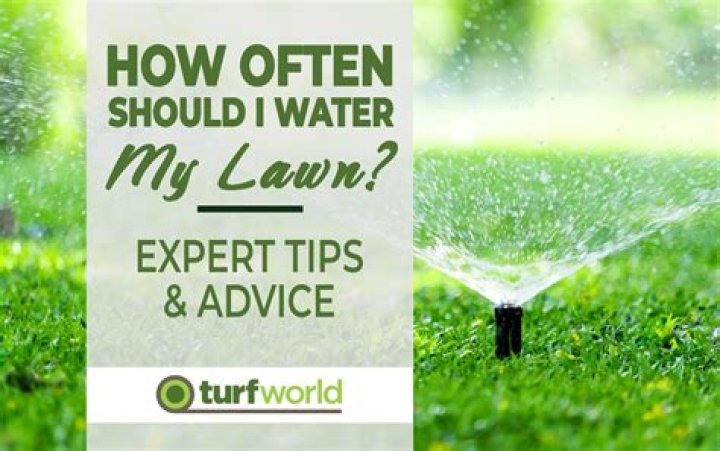 How long should I water my lawn in NJ?