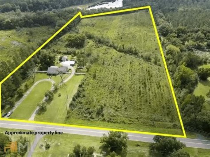 How many animals are in a 20 acre farm?