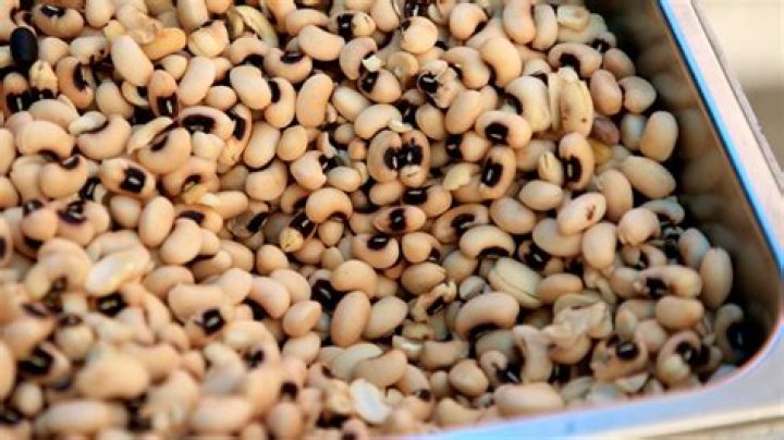 How many black-eyed peas does a plant produce?
