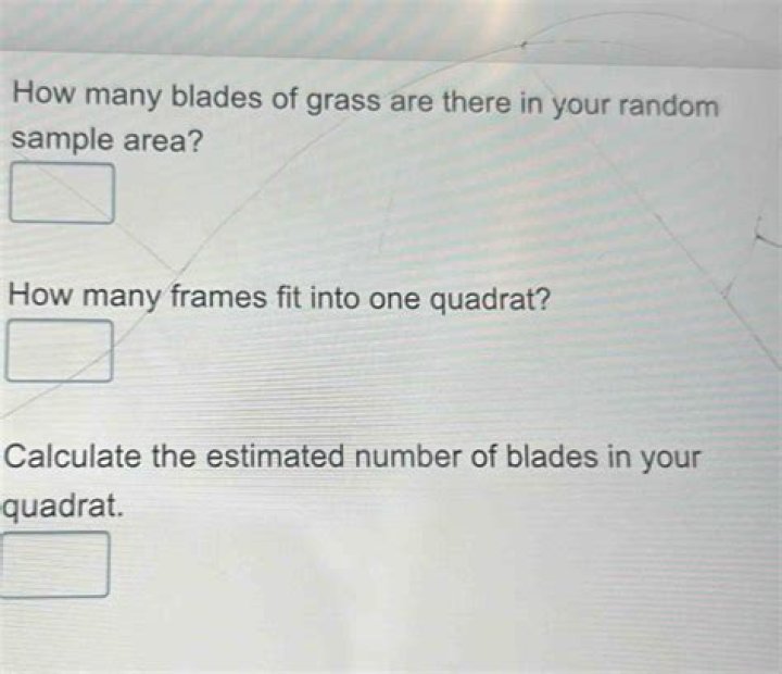 How many blades of grass are there in your random sample area?