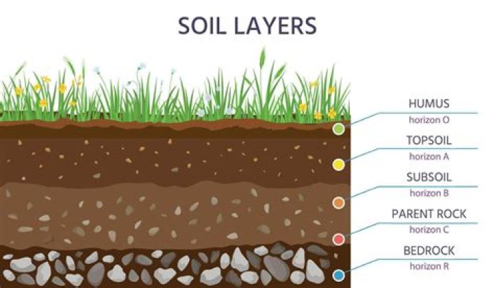 How many inches of topsoil should you have?