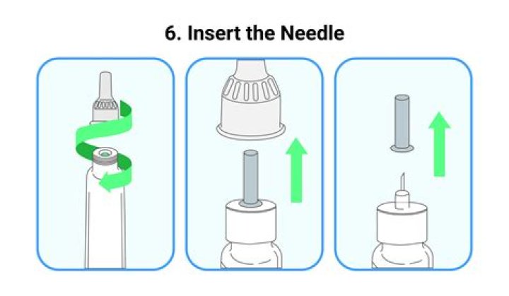 How many needles do Mugo pines have?