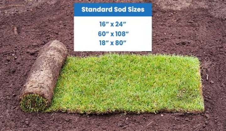 How many rolls of sod will I need?