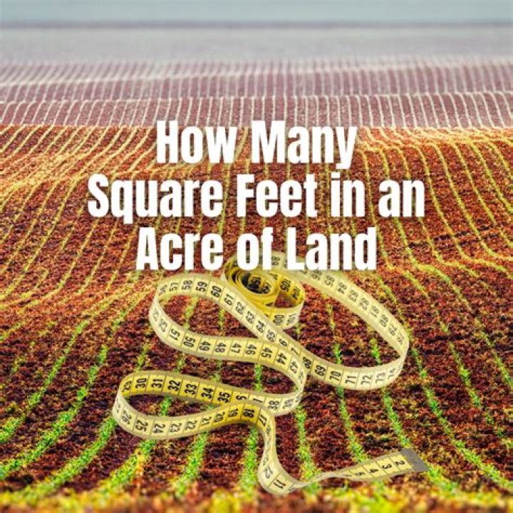 How many square feet do 4 people need?
