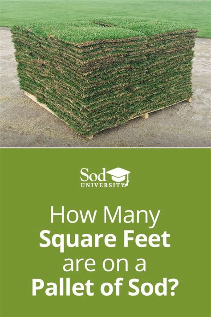 How many square feet is a pallet of St Augustine sod?