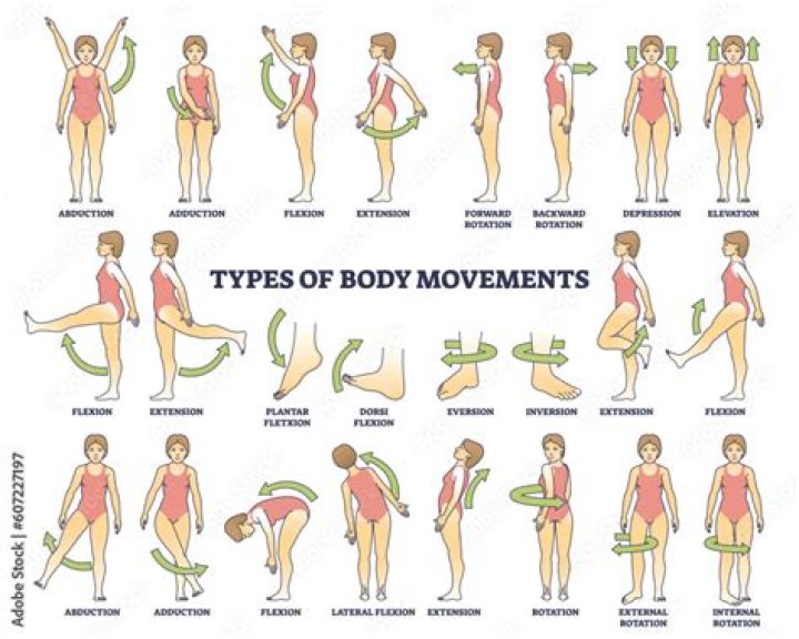 How many types of movement are there in design?