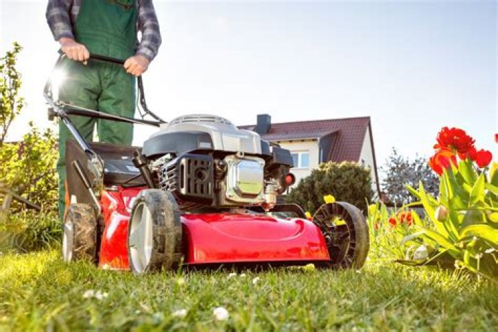 How much does a new Lawn cost UK?