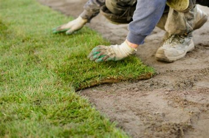 How much does a piece of sod weigh?