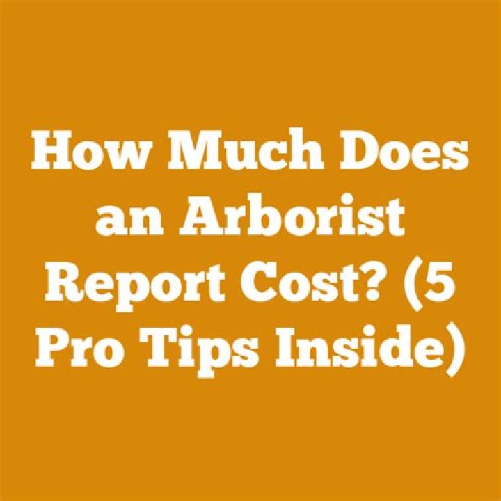 How much does an arborist report cost?