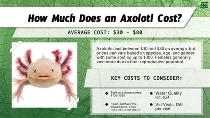 How much does it cost to buy an apple tree?