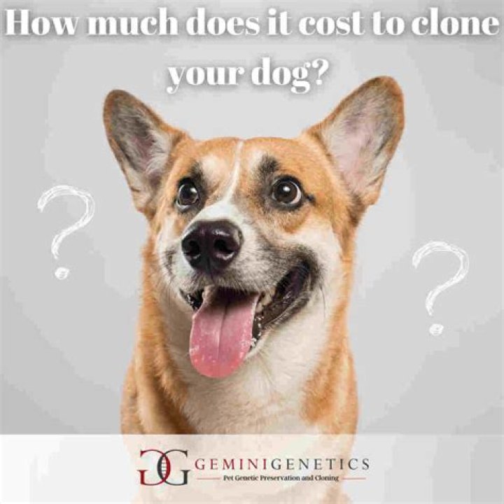 How much does it cost to clear brush per acre?