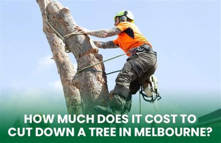 How much does it cost to cut down a 10 pine tree?