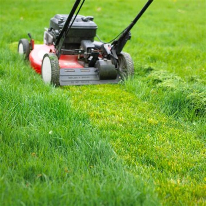 How much does it cost to mow a lawn?