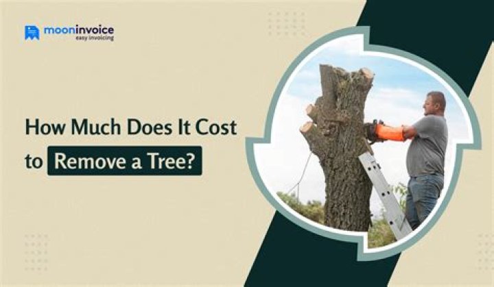 How much does it cost to remove a tree from a house?