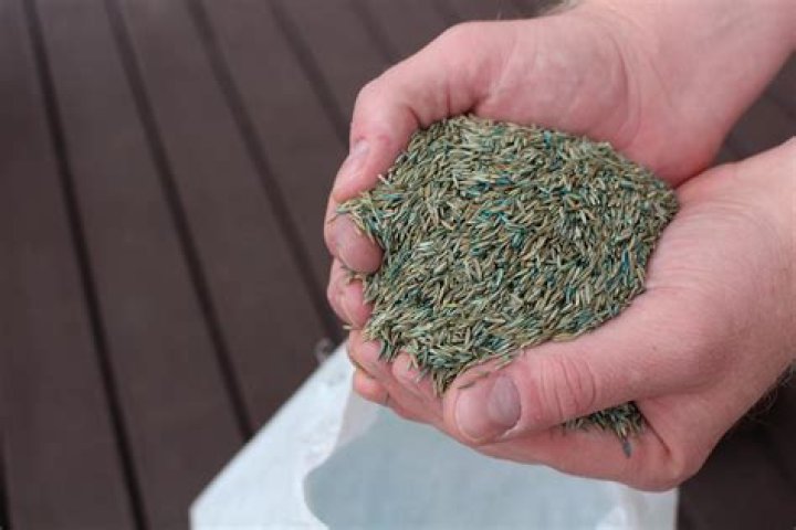 How much does it cost to seed an acre of grass?