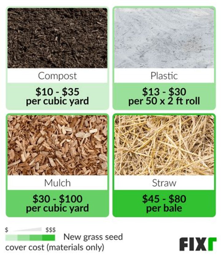 How much does seeding a lawn cost?